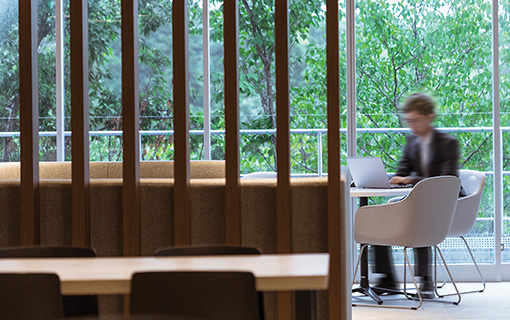 Corporate responsibility and sustainability